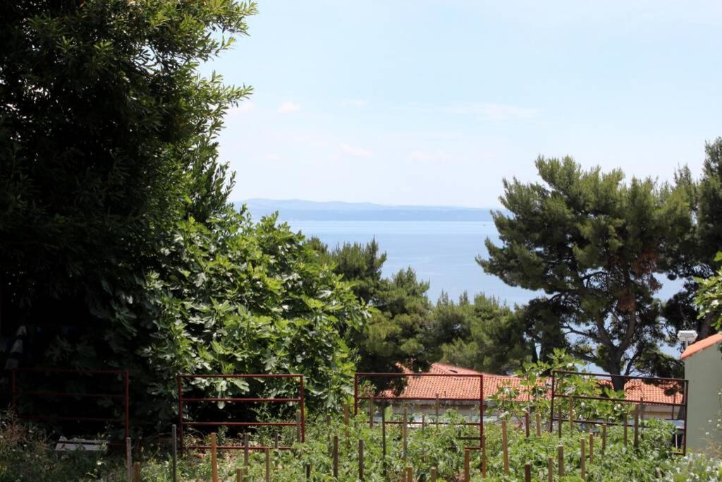 Apartman Buki **** Split Exterior foto