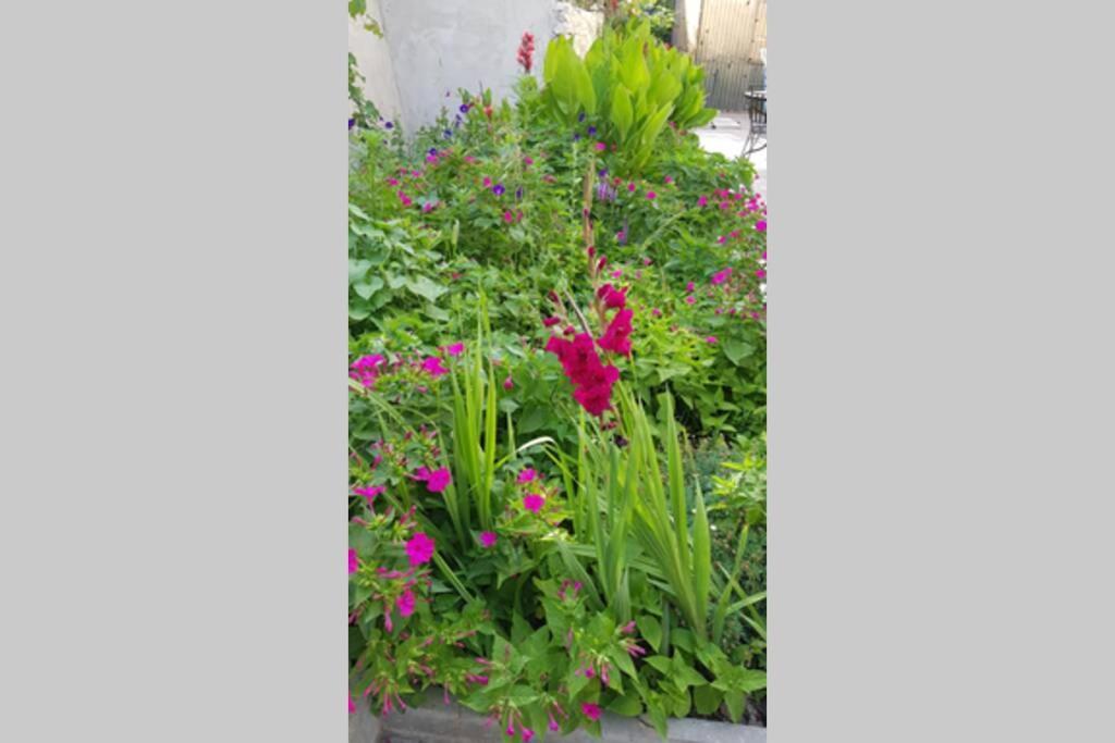 Apartman Buki **** Split Exterior foto